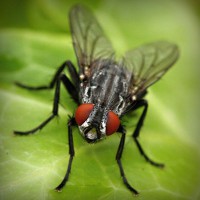 /album/archerbauer/photolia-a01-jpg/