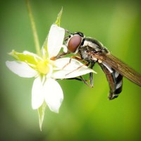 /album/archerbauer/photolia-a02-jpg/