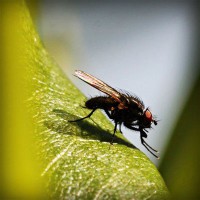 /album/archerbauer/photolia-a04-jpg/