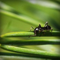 /album/archerbauer/photolia-a05-jpg/