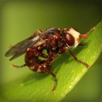 /album/archerbauer/photolia-a06-jpg/