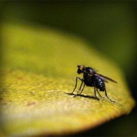 /album/archerbauer/photolia-a07-jpg/