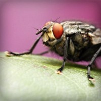 /album/archerbauer/photolia-a08-jpg/